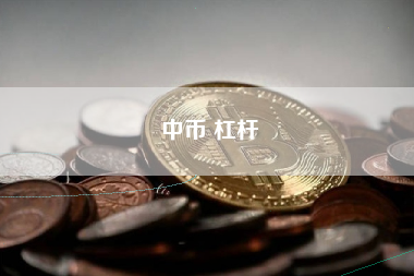 中币 杠杆