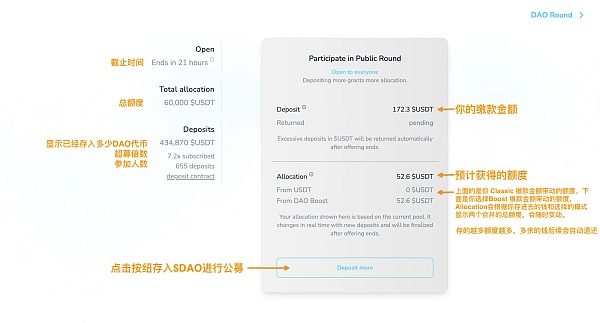DAO Maker打新全流程
