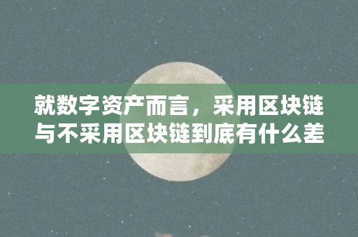 就数字资产而言,采用区块链与不采用区块链到底有什么差异(数字资产区块链是什么意思)
