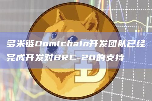 多米链Domichain开发团队已经完成开发对BRC-20的支持