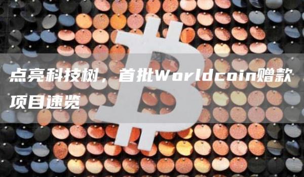 点亮科技树,首批Worldcoin赠款项目速览