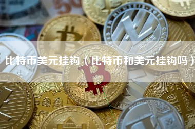 比特币美元挂钩(比特币和美元挂钩吗)