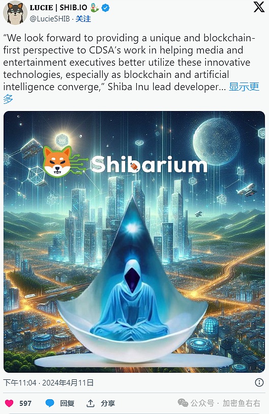 数字资产领域Shiba Inu与内容分发和安全协会(CDSA)建立了战略合作伙伴关系