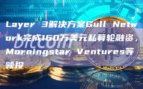 Layer 3解决方案Gull Network完成160万美元私募轮融资,Morningstar Ventures等领投