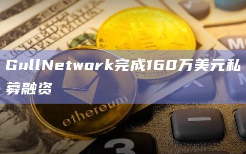 GullNetwork完成私募融资