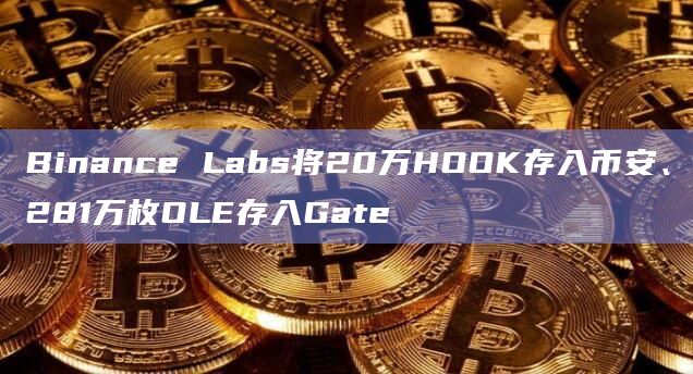 Binance Labs将20万HOOK存入币安、281万枚OLE存入Gate