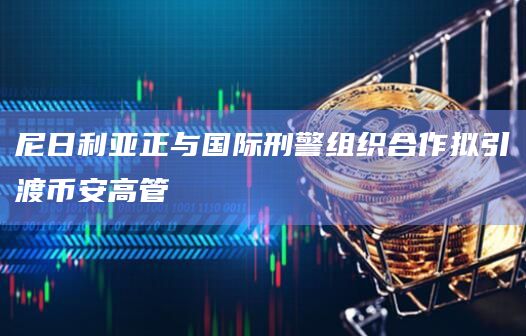 尼日利亚正与国际刑警组织合作拟引渡币安高管