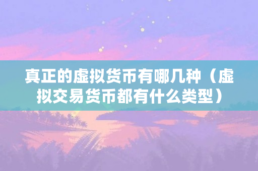 真正的虚拟货币有哪几种(虚拟交易货币都有什么类型)