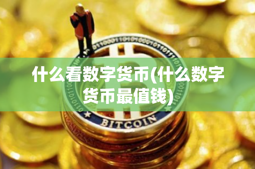什么看数字货币(什么数字货币最值钱)