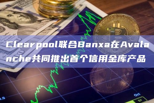 Banxa初步将通过信用金库借入高达500万美元的USDC