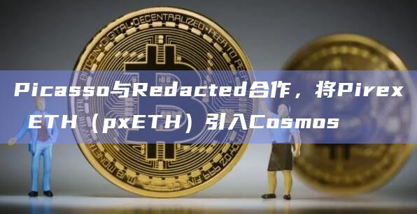 再质押协议Picasso Network宣布与DeFi协议Redacted合作