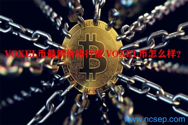 VOXEL币最新价格行情 VOXEL币怎么样?
