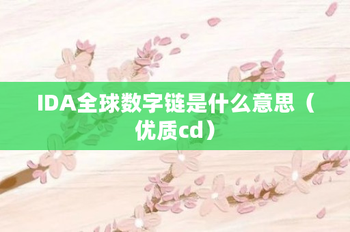 IDA全球数字链是什么?