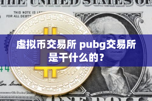 虚拟币交易所pubg是什么?