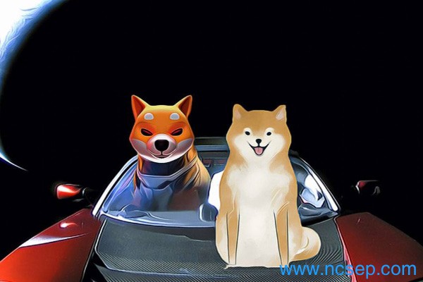 ARPA币前景如何？