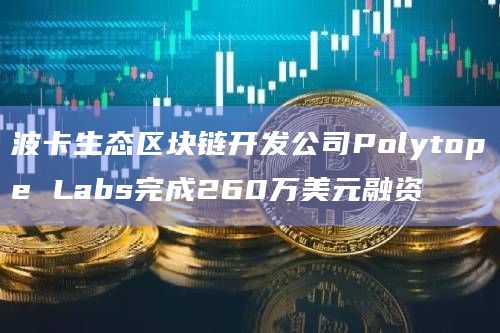 波卡生态区块链开发公司Polytope Labs完成260万美元融资