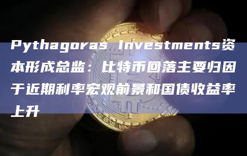 Pythagoras Investments资本形成总监：比特币回落主要归因于近期利率宏观前景和国债收益率上升