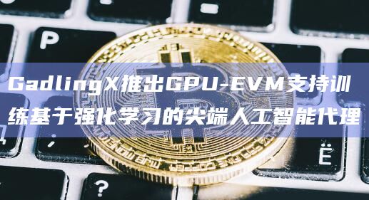 GPU-EVM推出的初始阶段侧重于创建硬件规模的 EVM基础设施