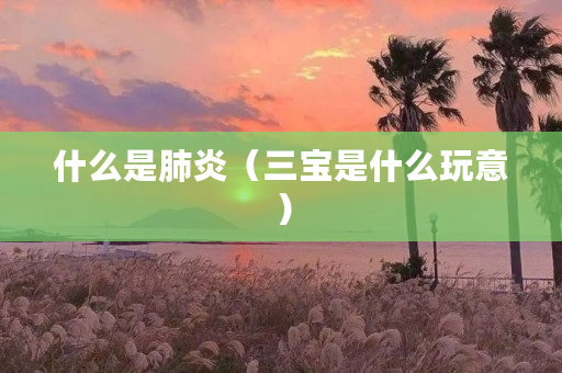 什么是肺炎(三宝是什么玩意)