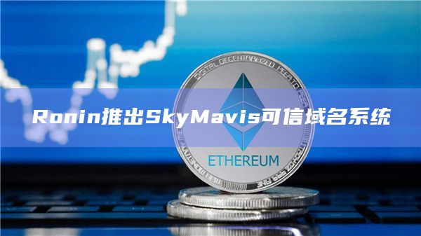 SkyMavis可信域名系统内容包括哪些