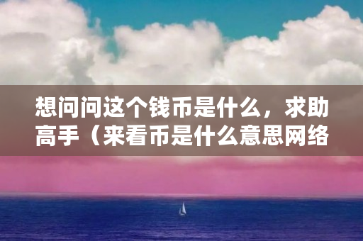 想问问这个钱币是什么，求助高手（来看币是什么意思网络用语）