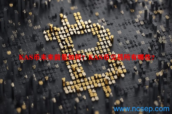 KAS币未来前景如何?KAS币交易所有哪些?
