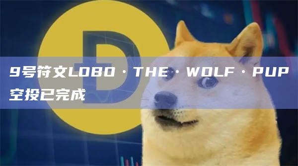 9号符文LOBO•THE•WOLF•PUP空投已完成
