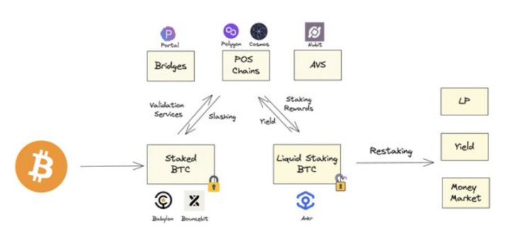 Polygon Ventures:对本轮牛市BTC生态的研究分析