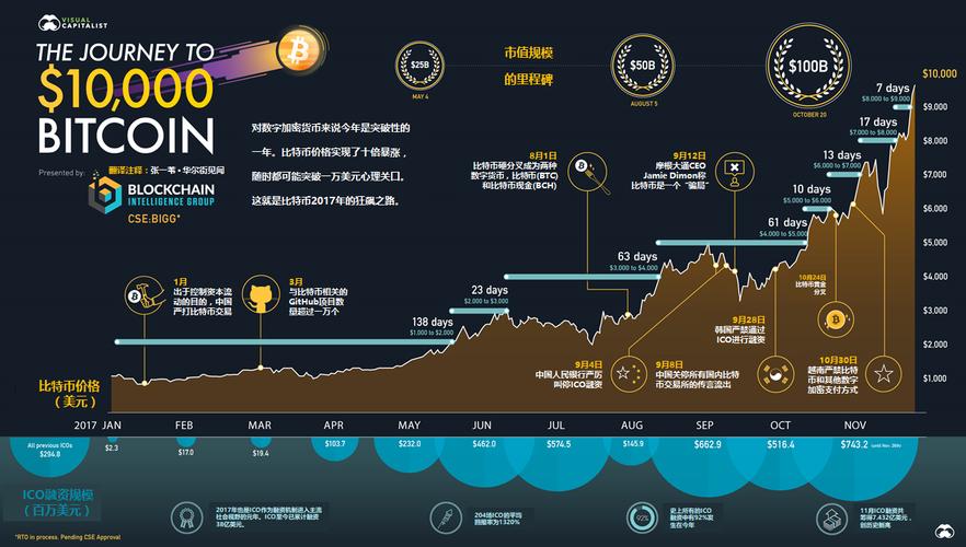 揭秘比特币公司：崛起、发展与应用前景