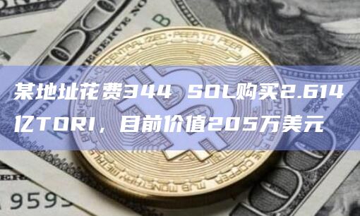 某地址花费344 SOL购买2.614亿TORI，目前价值205万美元