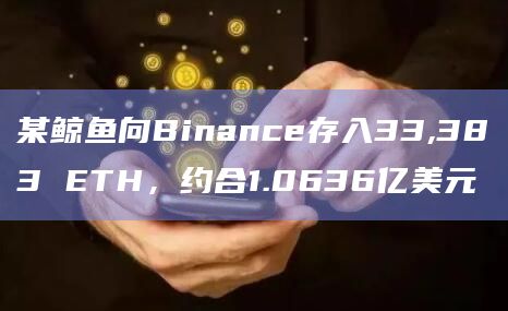 某鲸鱼向Binance存入33,383 ETH，约合1.0636亿美元