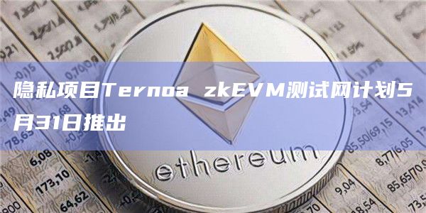 隐私项目Ternoa zkEVM测试网计划5月31日推出
