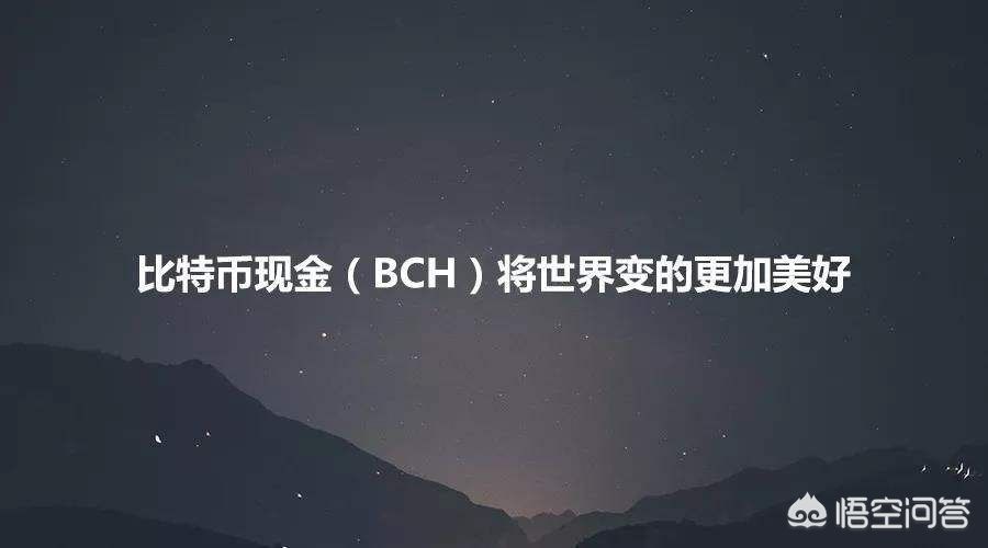 bch官方钱包(bch 钱包)