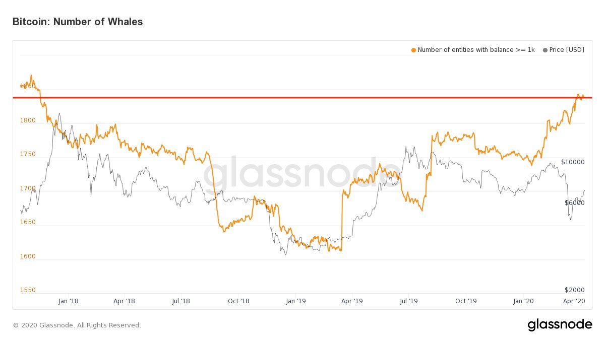 数据显示:持有至少1000枚BTC地址数量达2017年以来最高水平1 数据显示:持有至少1000枚BTC地址数量达2017年以来最高水平1
