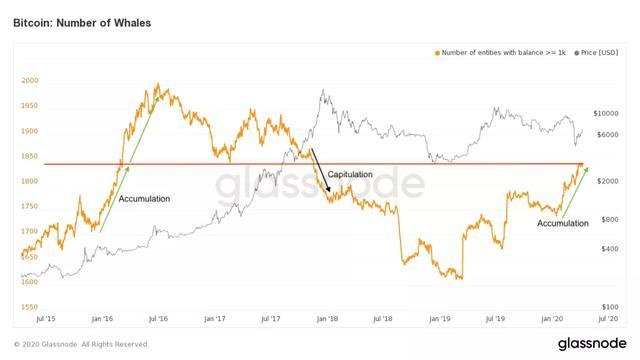 比特币链上活动徒增，“鲸鱼”们又开始积累了吗？2