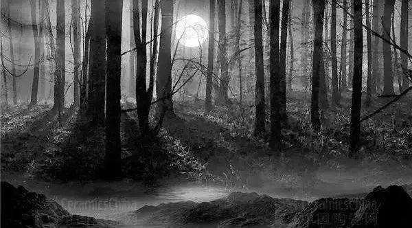 市场是个黑暗森林，不了解对手就只能被收割2