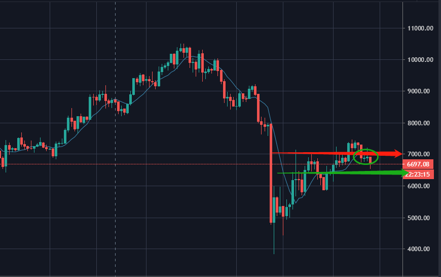 本周末收割500点 你拿到多少