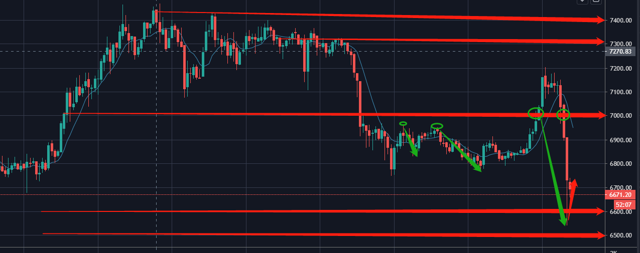 本周末收割500点 你拿到多少1