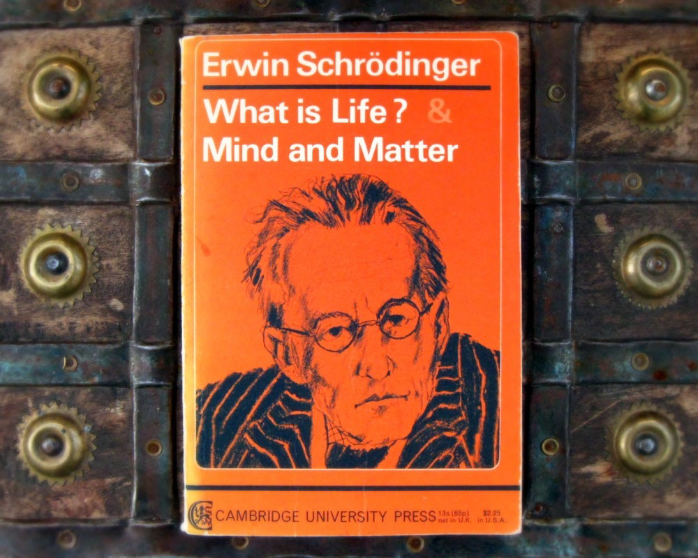 邹传伟：机器间大规模协作并非空想，需要区块链引入市场机制1