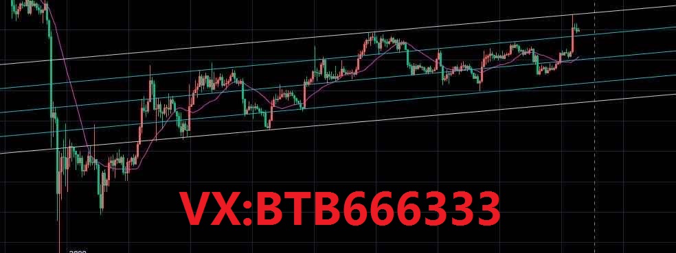 老常论币：4.24比特币行情分析震荡蓄力能否再破新高