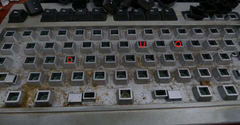 【杨哥说币】把KONG这几个电脑字母从键盘上扣下来，缓缓！