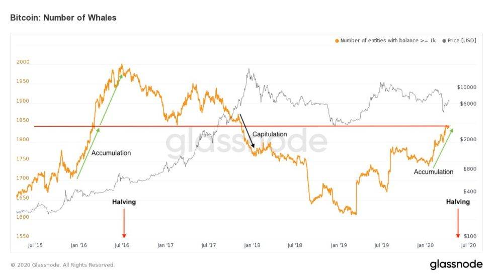 比特币巨鲸持币数量持续增长！大型机构投资者长期看涨比特币2