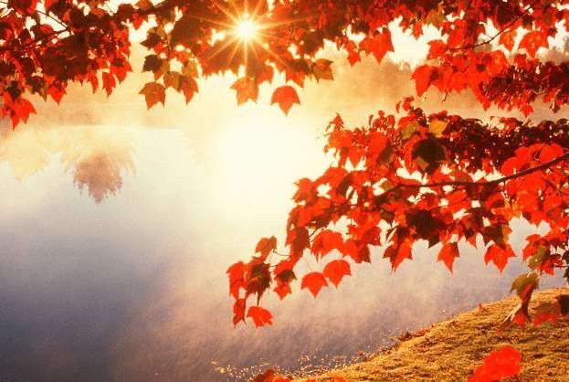 币圈理财师：4.30比特币 别问 问就是回调做多