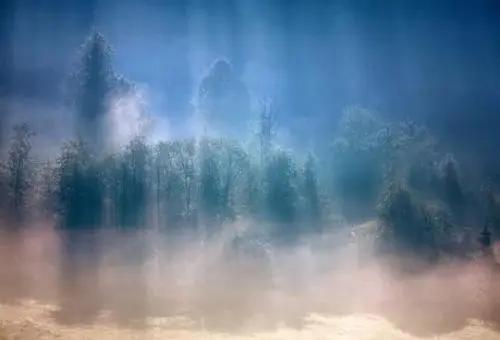 算法交易与算法共谋的法律监管 算法交易与算法共谋的法律监管