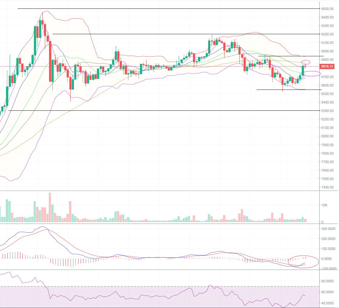 币圈理财师：5.4比特币晚间行情分析 反弹是诱多还是主多？