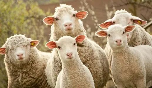 从平衡器事件查看defi1 从平衡器事件查看defi1