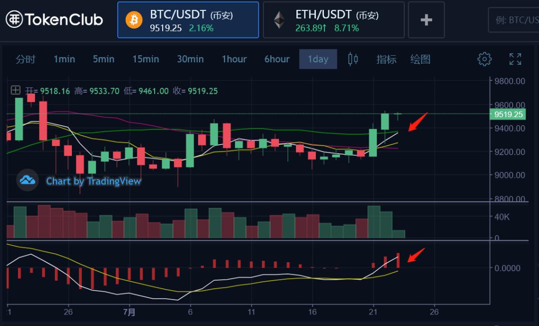 硬币大师：硬币圈内外两朵鲜花盛开3