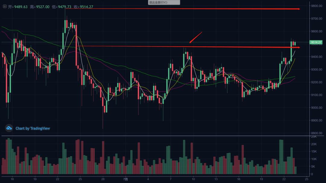 硬币大师：硬币圈内外两朵鲜花盛开4