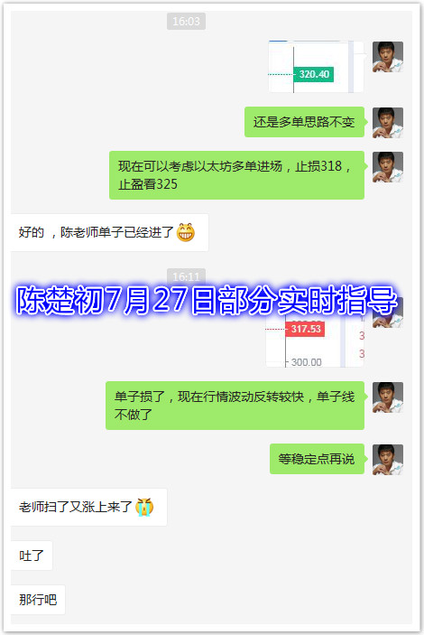 陈楚楚：7月27日晚间分析4