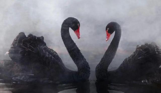 区块链上帝运营商:7.30比特币试探性下跌,开始吸引资金,散户投资者开始陆续进入市场分析1 区块链上帝运营商:7.30比特币试探性下跌,开始吸引资金,散户投资者开始陆续进入市场分析1